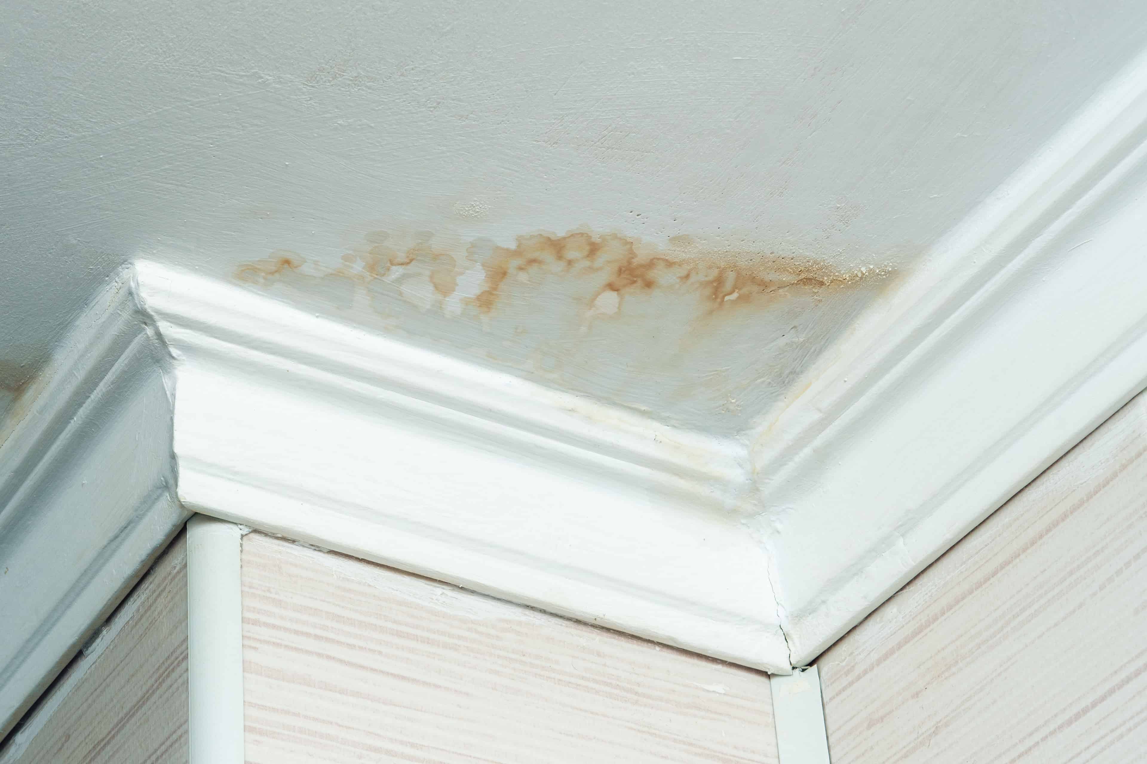 Wall/Ceiling Leak Inspection image