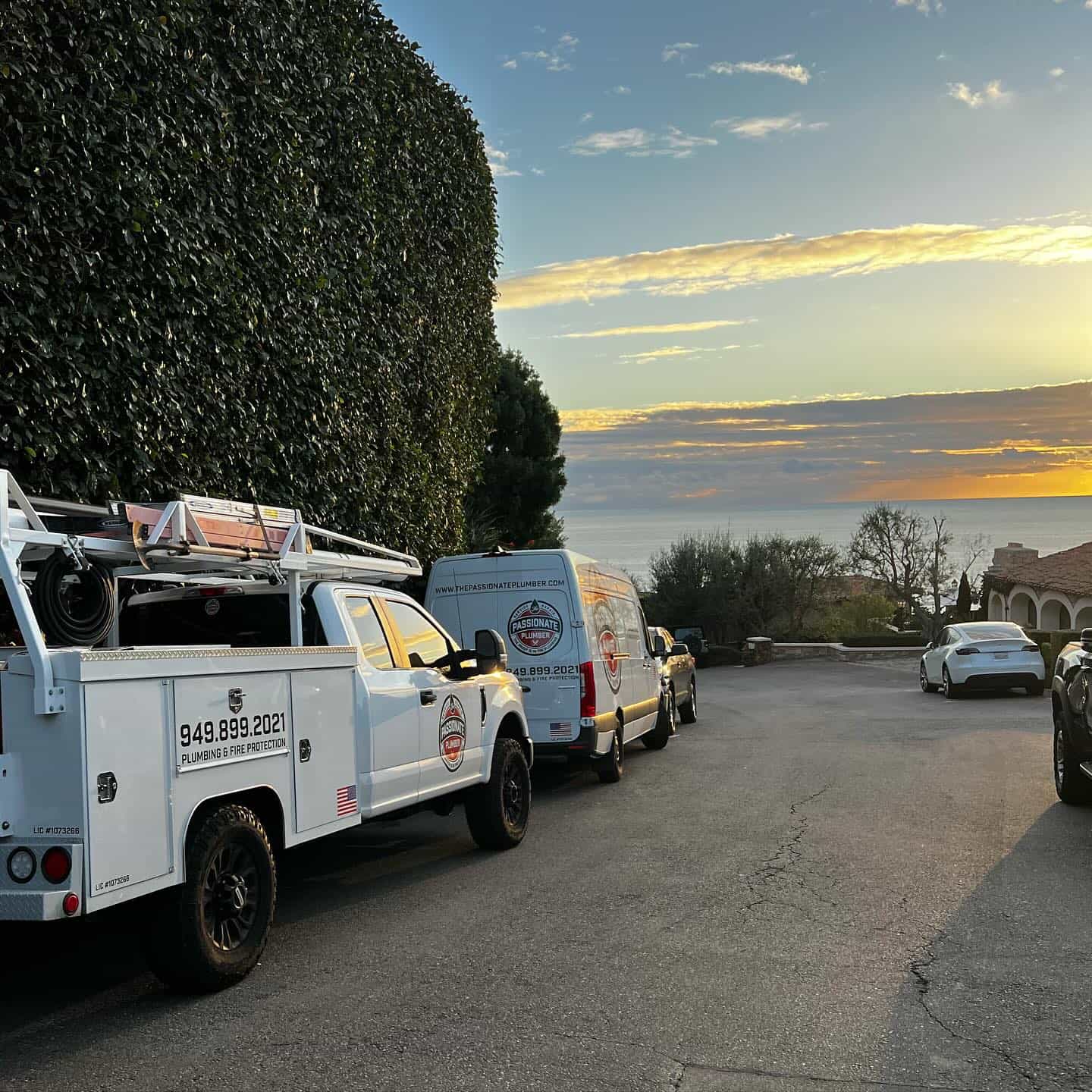 Hero image for The Passionate Plumber